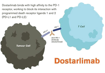 FDA加速批准Dostarlimab-gxly用于dMMR的子宫内膜癌