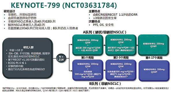 初治局部晚期Ⅲ期NSCLC 帕博利珠单抗联合cCRT安全性可控