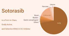 二线治疗KRAS突变的NSCLC KRAS抑制剂Sotorasib联合阿法替尼或有效