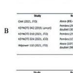 PD-L1表达>1%的肺癌患者 各线应用ICI后长期生存概率约增高10%