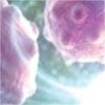 化疗耐药、微卫星稳定的mCRC 早期研究显示三联免疫治疗有效