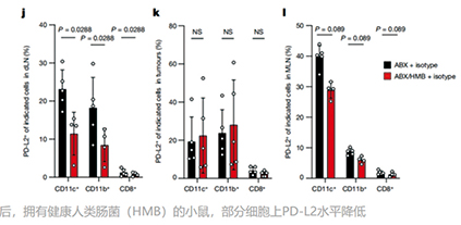 肠道菌群下调PD-L2和RGMb从而促进抗肿瘤免疫