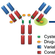 携带METex14的晚期NSCLC 赛沃替尼一线或后线应用均安全有效