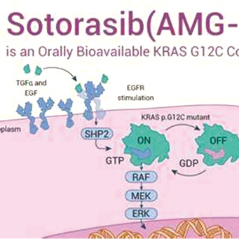 晚期NSCLC 治疗前KRAS G12C ctDNA提示Sotorasib治疗者预后不良