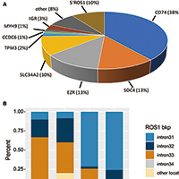 ROS1重排NSCLC ROS1抑制剂初治者使用foritinib有全身活性和颅内活性