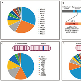 早期非鳞状NSCLC 14-基因分子风险鉴别器可指导辅助治疗决策