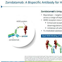 HER2阳性晚期胃食管腺癌 zanidatamab联合化疗一线治疗安全有效