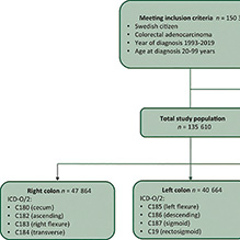 早发性结直肠癌的发病率趋势及长期生存研究