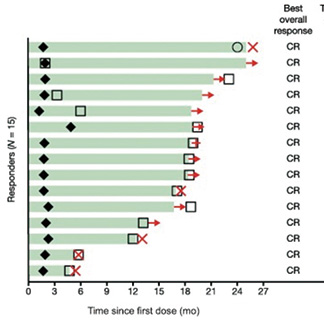 FGFR3/2alt的高危或标危NMIBC 厄达替尼疗效高安全性可控