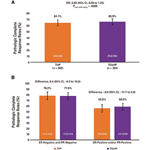 HER2阳性乳腺癌 新辅助治疗省略卡铂可行性研究