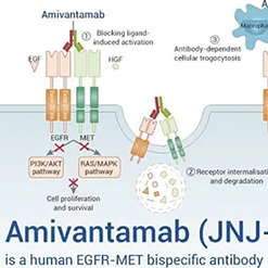 经治的HER2阳性胃癌 anbenitamab联合化疗改善生存