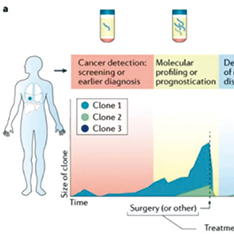 Ⅲ期结肠癌 不依赖组织的ctDNA评估预后价值高
