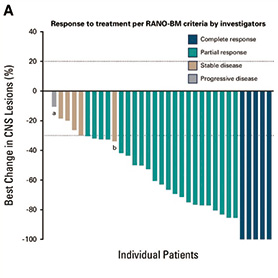 三阴性乳腺癌脑转移 阿得贝利单抗联合贝伐珠单抗及顺铂/卡铂治疗值得期待